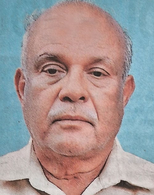 സി.കെ. സ്റ്റീഫന്‍ ചാക്കിട്ടമാക്കില്‍ (87) : ന്യൂയോര്‍ക്ക്