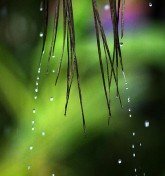 ഈ മഴയില്‍ എന്റെ പുഴ (അഷ്‌ടമൂര്‍ത്തി)