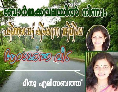 ബോര്‍മ്മക്കവലയില്‍ നിന്നും, പടിഞ്ഞാട്ടു കിടക്കുന്ന വഴിയിലെ ആറാമത്തെ വീട്‌ (മീനു എലിസബത്ത്‌)