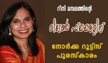 റീനി മമ്പലത്തിന്റെ `റിട്ടേണ്‍ ഫ്‌ളൈറ്റ്‌' എന്ന ചെറുകഥാസമാഹാരത്തിന്‌ നോര്‍ക്ക റൂട്ട്‌സ്‌ പ്രവാസി പുരസ്‌കാരം