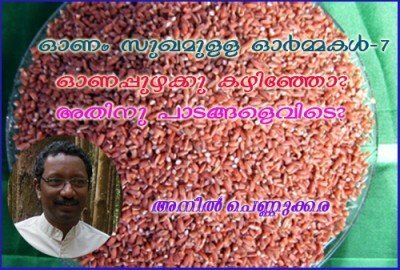 ഓണം സുഖമുള്ള ഓര്‍മ്മകള്‍-7- -ഓണപ്പുഴക്കു കഴിഞ്ഞോ? അതിനു പാടങ്ങളെവിടെ?- അനില്‍ പെണ്ണുക്കര.