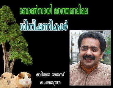 ബോണ്‍സായി മരത്തണലിലെ ഗിനിപ്പന്നികള്‍ (ബിജോ ജോസ്‌ ചെമ്മാന്ത്ര)