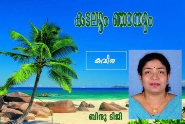 കടലും ഞാനും (കവിത: ബിന്ദു ടിജി)