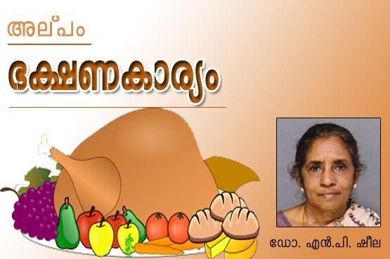 അല്‍പം ഭക്ഷണ കാര്യം (ഡോ.എന്‍.പി ഷീല)