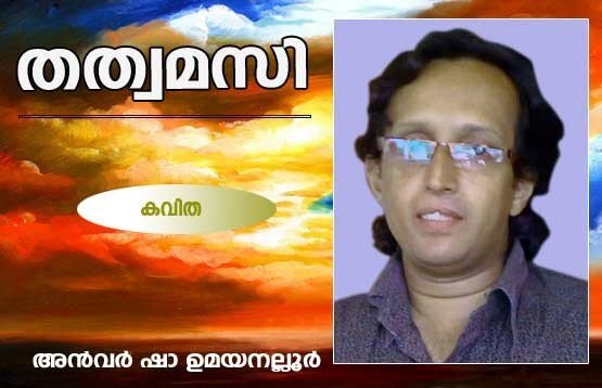 തത്വമസി (കവിത: അന്‍വര്‍ ഷാ ഉമയനല്ലൂര്‍)