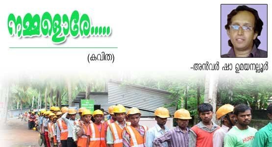 നമ്മളൊരേ...(കവിത:അന്‍വര്‍ ഷാ ഉമയനല്ലൂര്‍)