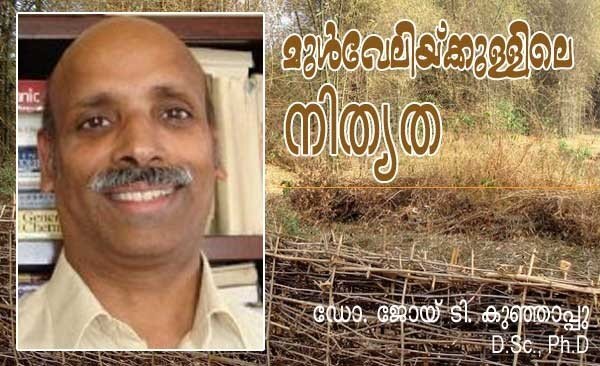 മുള്‍വേലിയ്ക്കുള്ളിലെ നിത്യത (ഡോ. ജോയ് ടി. കുഞ്ഞാപ്പു, D.Sc., Ph.D)