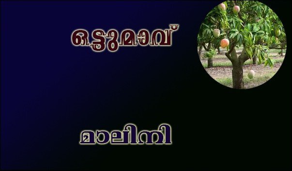 ഒട്ടുമാവ് - (കഥ-മാലിനി)