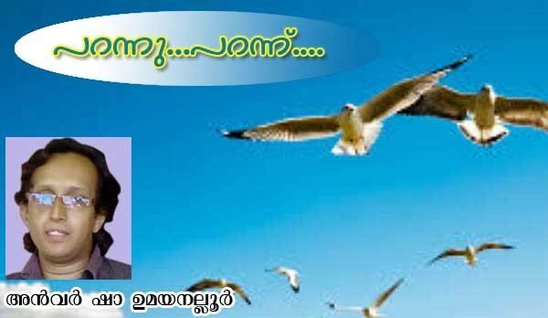 പറന്നു..പറന്ന്....(കവിത: അന്‍വര്‍ ഷാ ഉമയനല്ലൂര്‍)