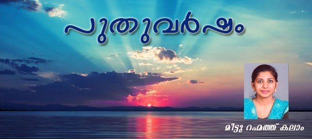 പുതുവര്‍ഷം: മീട്ടു റഹ്മത്ത് കലാം