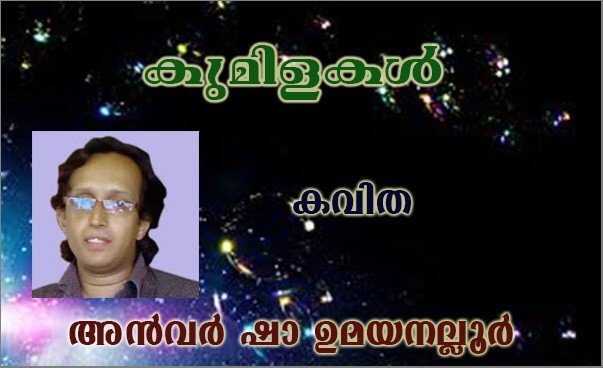 കവിത  (കുമിളകള്‍ : അന്‍വര്‍ ഷാ ഉമയനല്ലൂര്‍)