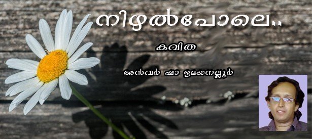 നിഴല്‍പോലെ.. (കവിത- അന്‍വര്‍ ഷാ ഉമയനല്ലൂര്‍)