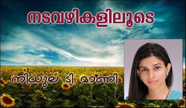 നടവഴികളിലൂടെ (നിധുല ടി മാണി)