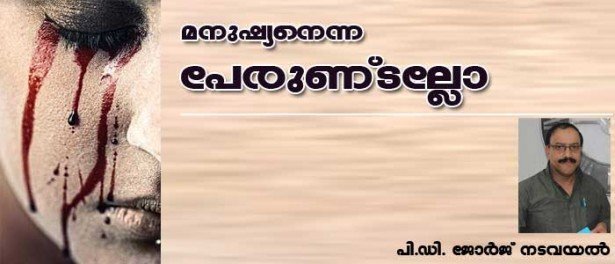 മനുഷ്യനെന്ന പേരുണ്ടല്ലോ (കവിത: പി ഡി ജോര്‍ജ് നടവയല്‍)