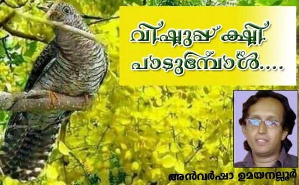 വിഷുപ്പക്ഷി പാടുമ്പോള്‍.... (കവിത: അന്‍വര്‍ ഷാ ഉമയനല്ലൂര്‍)