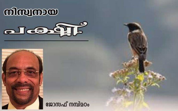നിസ്വനായ പക്ഷി (കവിത ജോസഫ് നമ്പിമഠം)