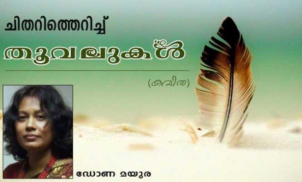 ചിതറിത്തെറിച്ച് തൂവലുകള്‍ (കവിത: ഡോണ മയൂര)