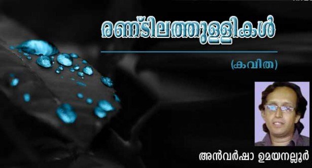 രണ്ടിലത്തുള്ളികള്‍ (കവിത: അന്‍വര്‍ ഷാ ഉമയനല്ലൂര്‍)