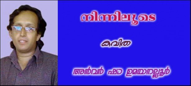 നിന്നിലൂടെ(കവിത: അന്‍വര്‍ ഷാ ഉമയനല്ലൂര്‍)