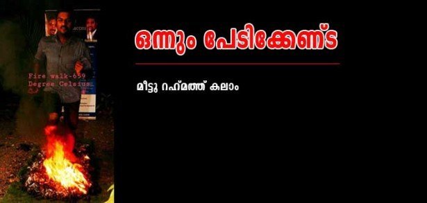 ഒന്നും പേടിക്കേണ്ട (മീട്ടു റഹ്മത്ത് കലാം)