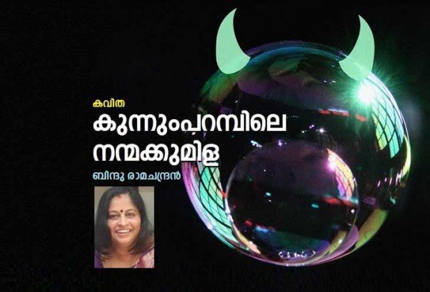 കുന്നുംപറമ്പിലെ നന്മക്കുമിള (കവിത: ബിന്ദു രാമചന്ദ്രന്‍)
