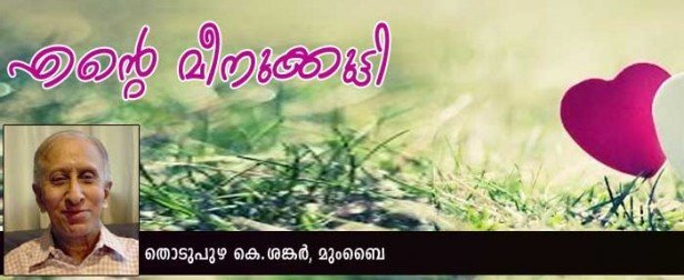 എന്റെ  മീനുക്കുട്ടി (കവിത: തൊടുപുഴ കെ ശങ്കര്‍ മുംബൈ)