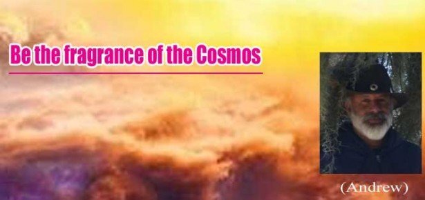 Be the fragrance of the Cosmos (Andrew)