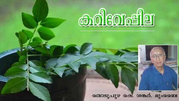 കറിവേപ്പില (തൊടുപുഴ കെ ശങ്കര്‍, മുംബൈ)