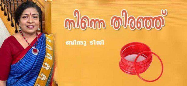 നിന്നെ തിരഞ്ഞ് (ബിന്ദു ടിജി)