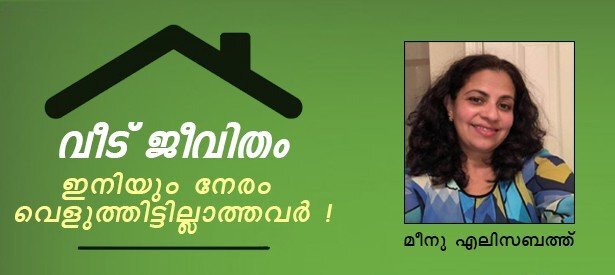 വീട് ജീവിതം. ഇവിടെ ഇനിയും നേരം വെളുത്തിട്ടില്ലാത്തവര്‍! (മീനു എലിസബത്ത്)