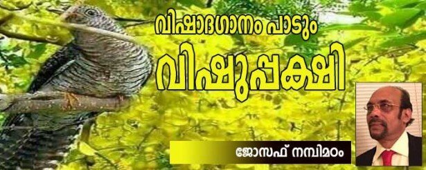 വിഷാദഗാനം പാടും വിഷുപ്പക്ഷി (കവിത: ജോസഫ് നമ്പിമഠം)