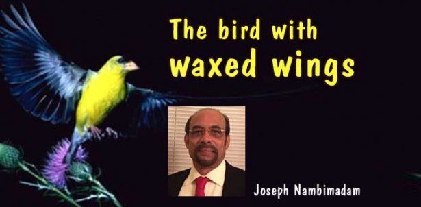 The bird with waxed wings (Poem - Joseph Nambimadam)