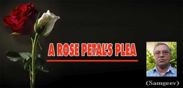 A ROSE PETAL’S PLEA (Samgeev)
