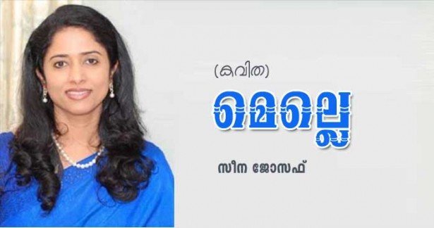 മെല്ലെ (കവിത: സീന ജോസഫ്)