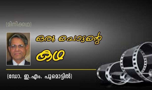 ഒരു പൊട്ടന്റെ കഥ (ഡോ. ഇ.എം പൂമൊട്ടില്)
