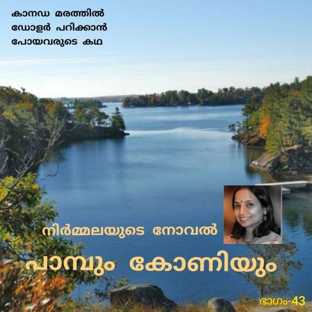 പാമ്പും കോണിയും - നിർമ്മല - നോവൽ - 43