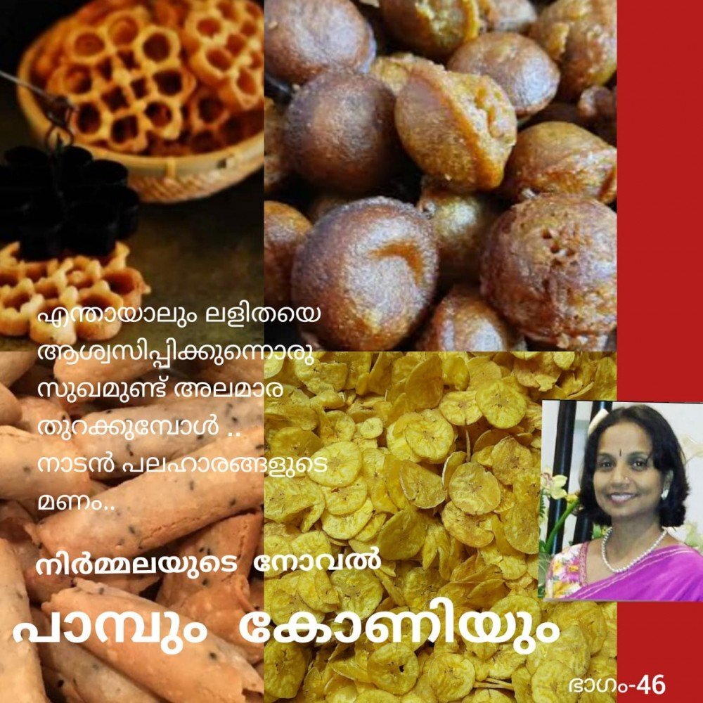 പാമ്പും കോണിയും - നിർമ്മല - നോവൽ 46
