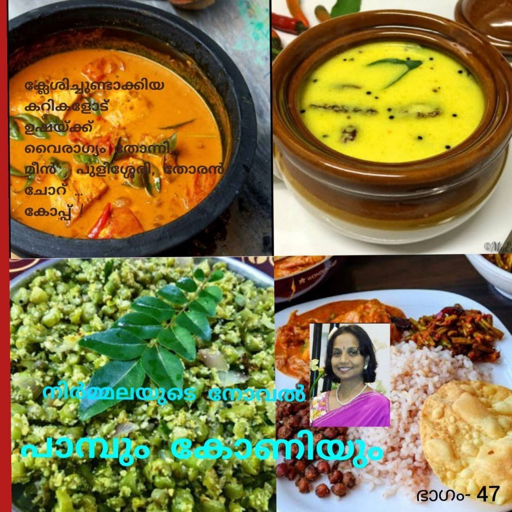 പാമ്പും കോണിയും - നിർമ്മല - നോവൽ 47