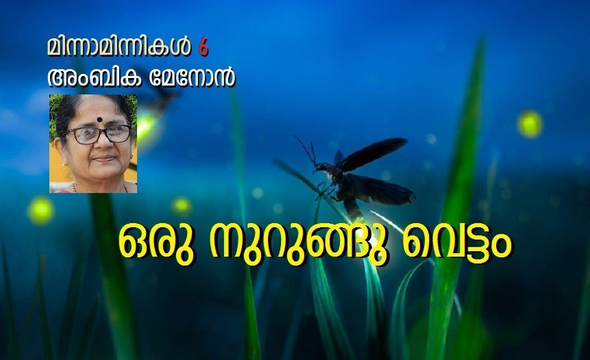  ഒരു നുറുങ്ങു വെട്ടം (അംബിക മേനോൻ, മിന്നാമിന്നികൾ- 6)