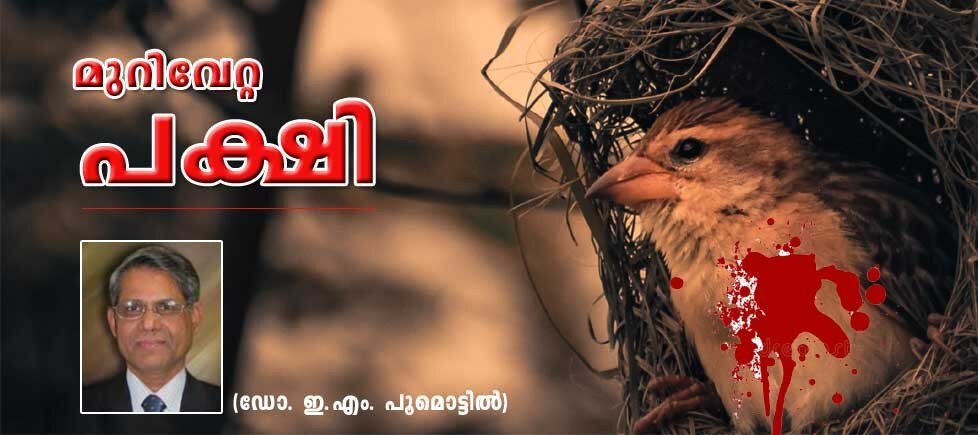 മുറിവേറ്റ പക്ഷി (കവിത: ഡോ. ഇ.എം. പൂമൊട്ടില്‍)