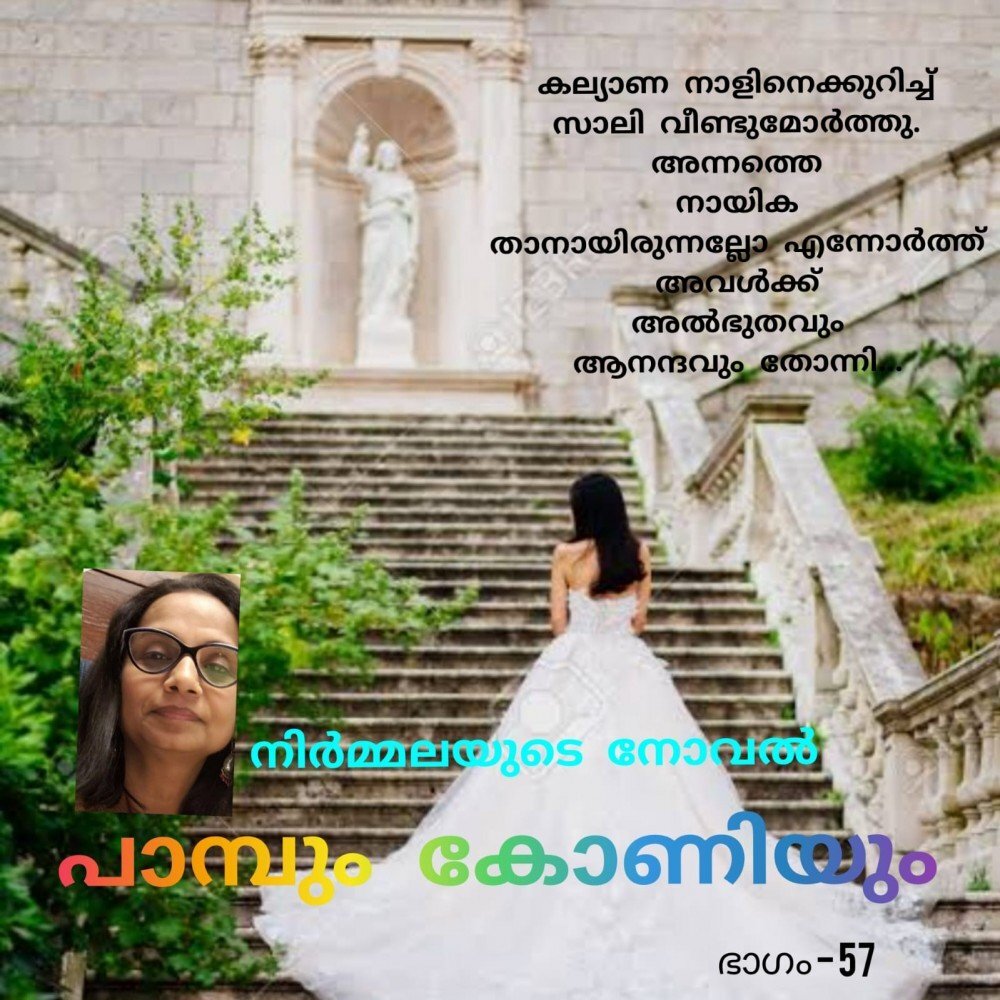 പാമ്പും കോണിയും - നിർമ്മല - നോവൽ - 57