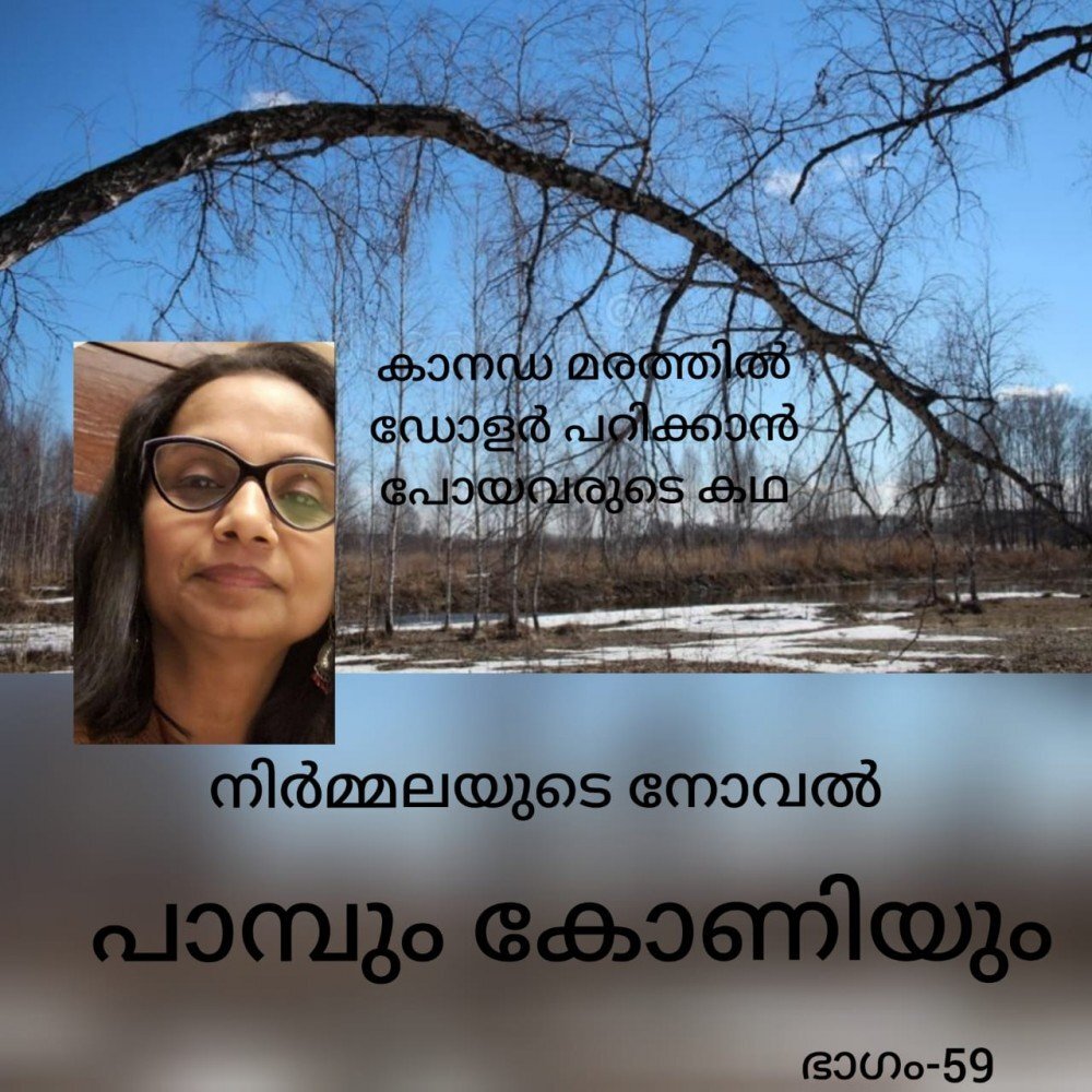 പാമ്പും കോണിയും: നിർമ്മല - നോവൽ 59