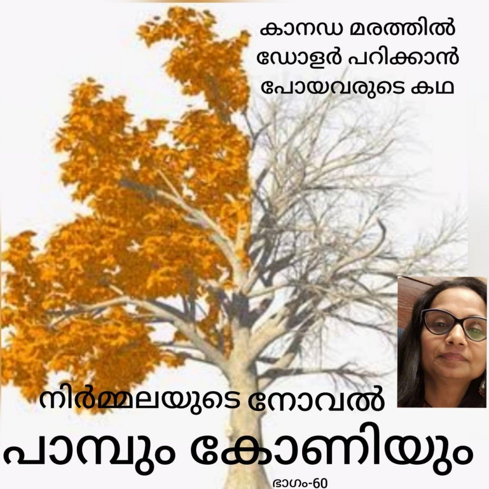 പാമ്പും കോണിയും : നിർമ്മല - നോവൽ - 60