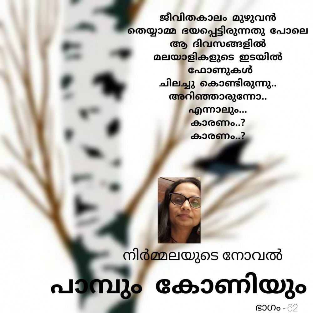 പാമ്പും കോണിയും: നിർമ്മല - നോവൽ - 62