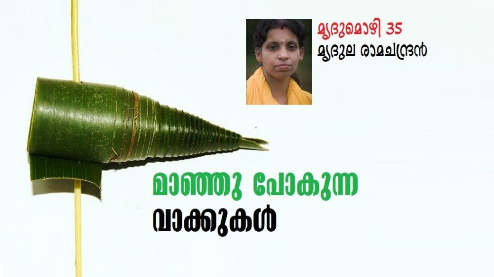 മാഞ്ഞു പോകുന്ന വാക്കുകൾ (മൃദുല രാമചന്ദ്രൻ, മൃദുമൊഴി 35)
