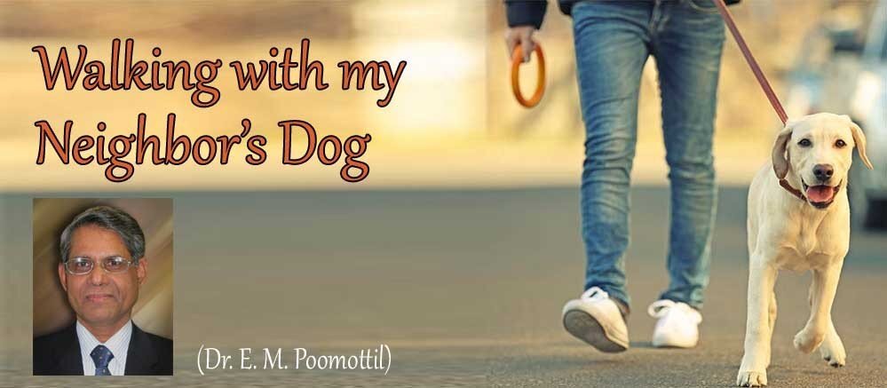 Walking with my neighbor’s dog (Poem: Dr. E. M. Poomottil)