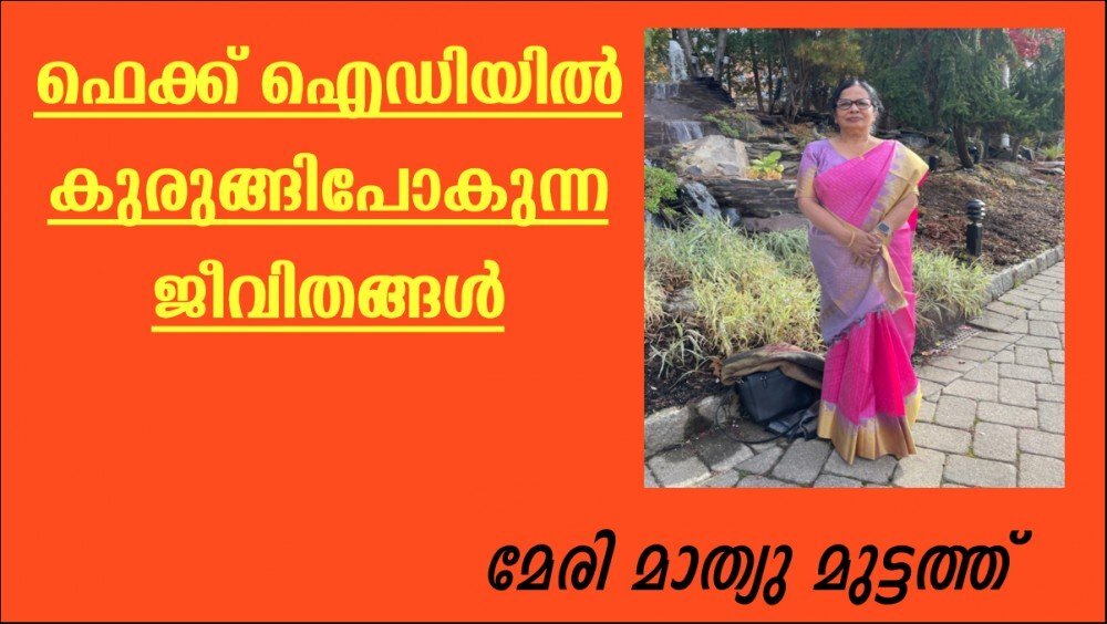 ഫെക്ക് ഐഡിയില്‍ കുരുങ്ങിപോകുന്ന ജീവിതങ്ങള്‍ (മേരി മാത്യു മുട്ടത്ത്)