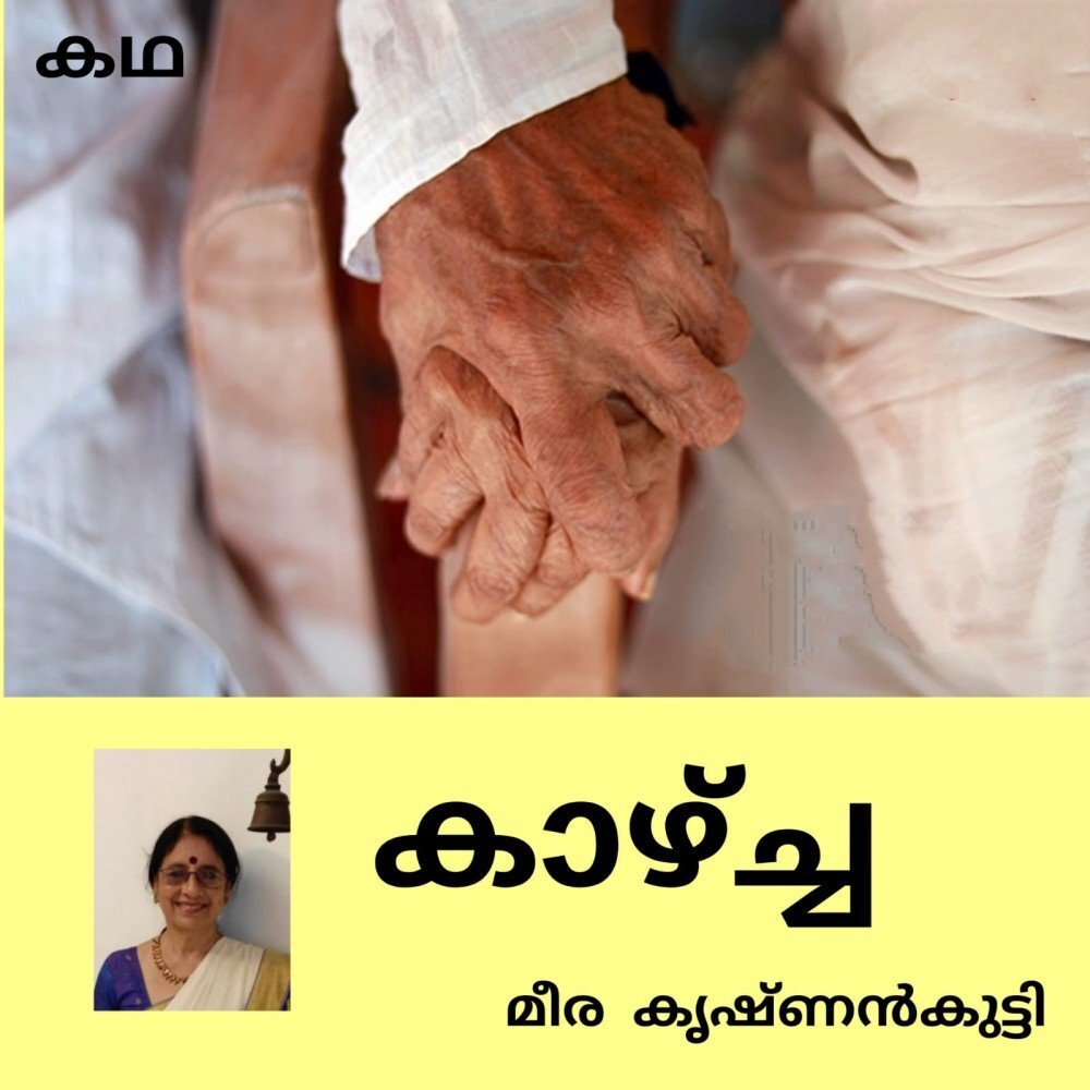 കാഴ്ച്ച (കഥ : മീര കൃഷ്ണൻകുട്ടി )