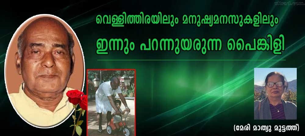 വെള്ളിത്തിരയിലും മനുഷ്യമനസ്സുകളിലും ഇന്നും പറന്നുയരുന്ന പൈങ്കിളി (മേരി മാത്യു മുട്ടത്ത്)