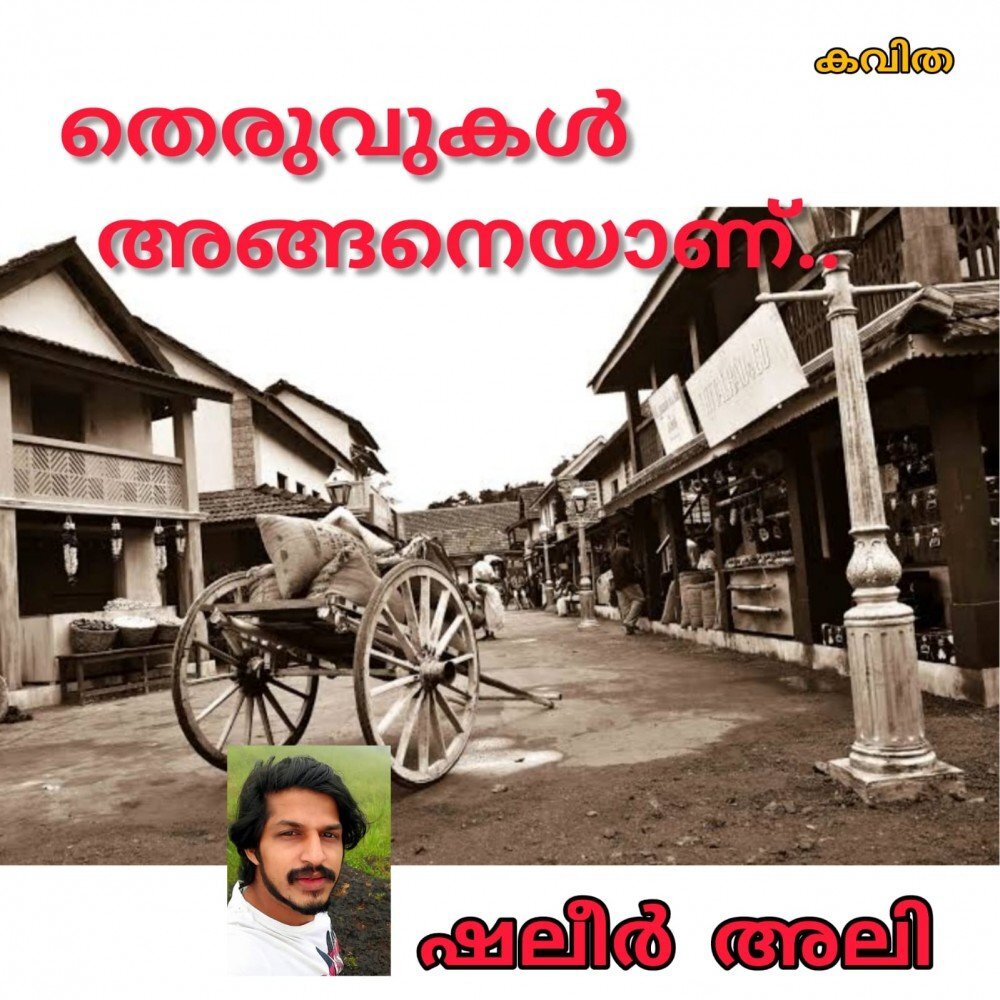 തെരുവുകൾ  അങ്ങനെയാണ് : (കവിത: ഷലീർ അലി )